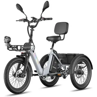 E Unterstützungs Dreirad, 180 kg Tragfähigkeit, 85 km maximale Reichweite, 21 Ah 48 V Akku, IPX5, Hydraulikbremsen, Grau