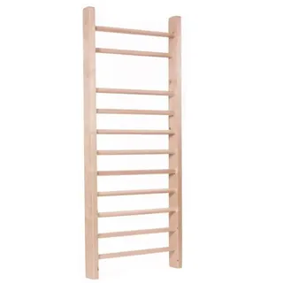 PTC SPORT Sprossenwand aus Buche für Physiotherapie, Gymnastik und Fitness - Verwendung in Heimen, Fitnessstudios, Kliniken, Schulen oder Fitnesscentern - 195 x 80 cm