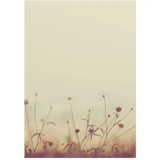 Briefpapier | Herbstwiese in der Sonne | 50 Blatt Herbstliches Motivpapier DIN A4