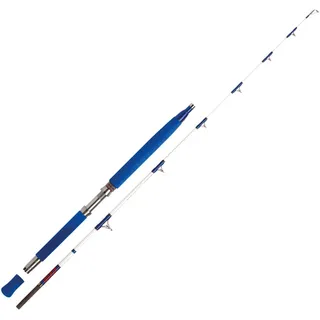 WFT Electra Speed JIG 2,00m 50lbs Pilkrute Bootsrute