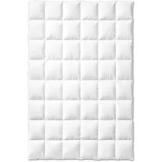 Typ Eiderdaune Kassettendecke leicht