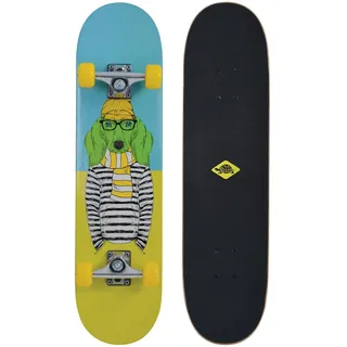 Donic Schildkröt Schildkröt Kicker 31" Green dog