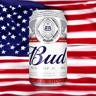 12 x Dosen amerikanische Bud Beer 0,33l das bekanntes Bier der USA mit 5% Alc - 3.96 l