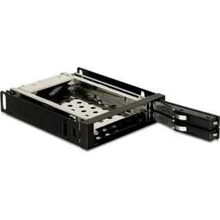 DeLock Speichereinschubadapter