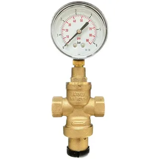 BieTal BieTal® Wasserdruckregler mit Manometer 3/8 Zoll Innengewinde
