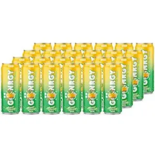 GÖNRGY Miami Splash Zero Energy Drink 24x500ml