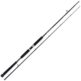 Shimano Beastmaster AX Pilk 2,40m 150-300g 2pc Pilkrute