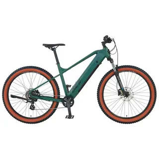 Prophete Dice 1.0 2023 27,5 Zoll RH 48 cm grün