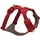 red canyon XXS