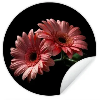 MuchoWow Wandsticker Blumen - Gerbera - Rosa - Natur - Porträt (1 St), Wanddeko Wohnzimmer Schlafzimmer Wandverkleidung, 50x50 cm bunt 50 cm x 50 cm x 0.1 cm