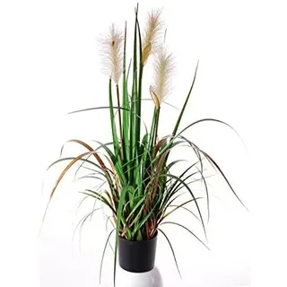 kunstpflanzen-discount.com Künstliches Pampasgras ca. 81cm hoch Creme-rosa blühend im Topf - Dekogras Kunstgras mit Binsen