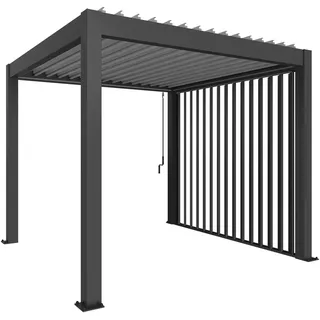 Biohort Lamellenseitenwand 1 Stück 2,35 x 0,10 x 2,72 m Dunkelgrau-Metallic