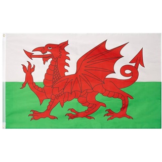 Wales Flagge MUWO "Nations Together" 90 x 150 cm-Größe:Einheitsgröße