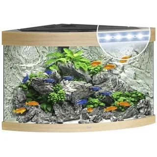 JUWEL AQUARIUM Trigon 190 LED Eckaquarium Zubehör braun