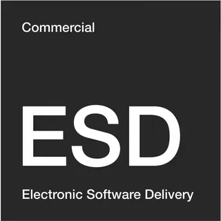 Microsoft Visio Professional 2021 ESD Win
