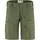 Barents Pro Shorts Regular Grün 50