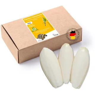 Tamay Sepiaschalen Premium I 25 Stück I Sepia Schalen I Optimale Kalzium und Vitaminversorgung Nahrung, 250g Futter für Reptilien, Schildkröten, Vögel I Terrarium Zubehör