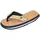 Blau 41