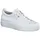 white 36