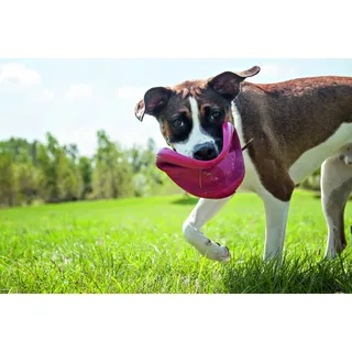 Kong Flyer 23 cm rot