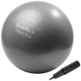 HMS Gymnastikball Grau 75 cm