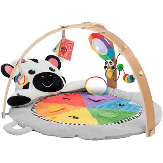 Baby Einstein "Zen's Activity MilestonesTM Plush Gym", bunt, Spielbögen, Baby, Spielmatte für Säuglinge bis Kleinkinder, 0-12 Monate, Maschinenwaschbar