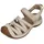 Damen Birch 40