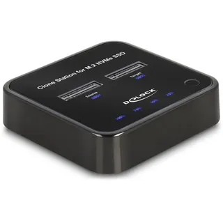 DeLock M.2 PCIe Dockingstation mit Klon-Funktion, USB-C 3.1 (64177)