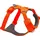 Blaze Orange 2XS