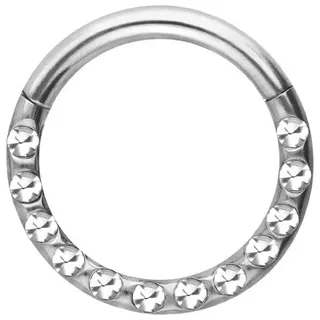 PIERCINGLINE Titan Segmentring Clicker KRISTALLE + EPOXY