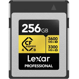 Lexar Gold Serie 256GB Typ B 4.0