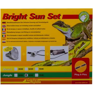Lucky Reptile Bright Sun Set Jungle