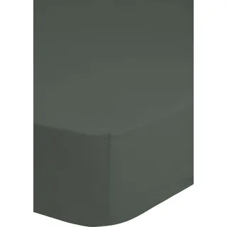 HIP Spannbettlaken Baumwolle-Satin 140 x 200 - 180 x 200 cm Grün