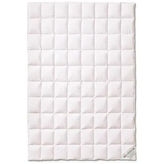 Bach's Betten Welt Mega Preis Canada Daunendecke extra Light Sommerdecke 100% Natur extraweiche Daunen Federn Klasse 1 (155 x 220 cm)