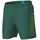 Herren R Mangrove-artic Lime L