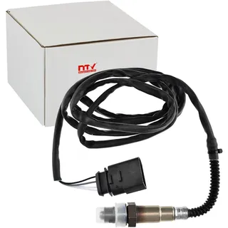 NTY ESL-VW-001