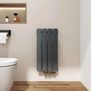 EMKE Flachheizkörper 600 x 300 mm 233 W anthrazit Mittelventil