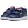 Blue Jewel/Green Fruit/Amarena 26