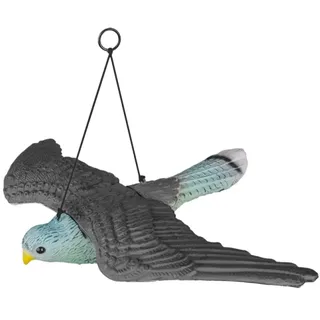 Bradas Taubenschreck Falke fliegend