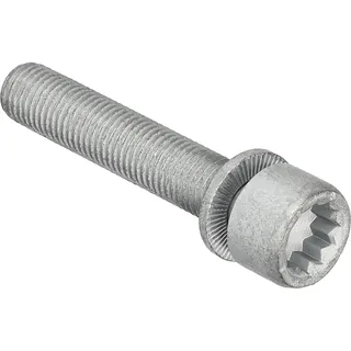 FEBI BILSTEIN Schraube, Bremssattel 48817