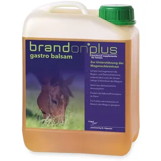 St. Hippolyt Gastro Balsam 2,5 l