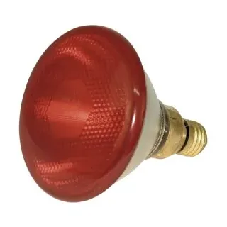 Kerbl Sparlampe 175 W,