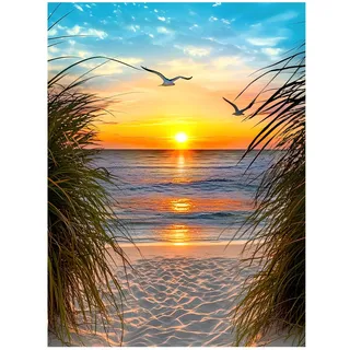 NPCSWXQ Malen Nach Zahlen Erwachsene Kit Anfänger,Strand Sonnenuntergang Öl-Acryl-Malerei Basteln Erwachsene Paint By Numbers Adult für Home Schlafzimmer Studie oder Büro Dekoration Geschenk 40x50cm