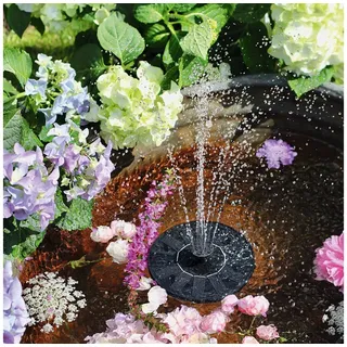 Moses Wasserspiel Blatt & Blüte