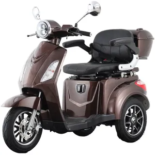 aktiv mobil E-Trike Pro Braun