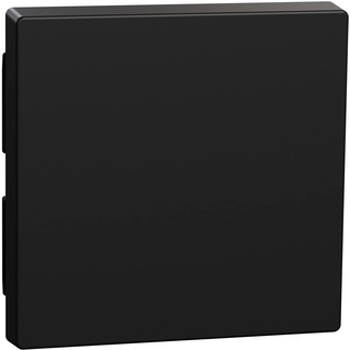 Merten Wippe schwarz matt System M