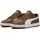 Chestnut Brown / Puma White / Gold 45,5