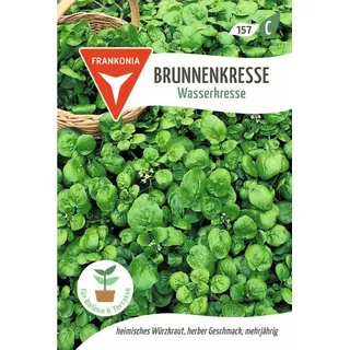 Frankonia Brunnenkresse, Wasserkresse