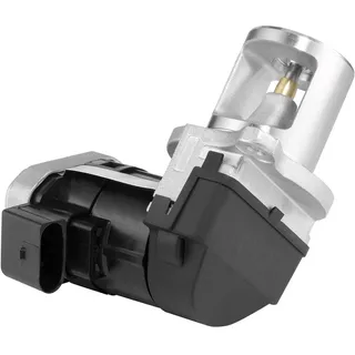 BorgWarner AGR-Ventil elektrisch, mit Dichtung