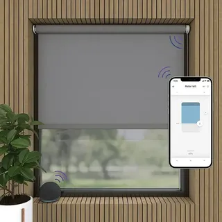 Rollo Elektrisch  (B x H: 60 x 190 cm, Tageslichtdurchlässig, Grau, Uni)